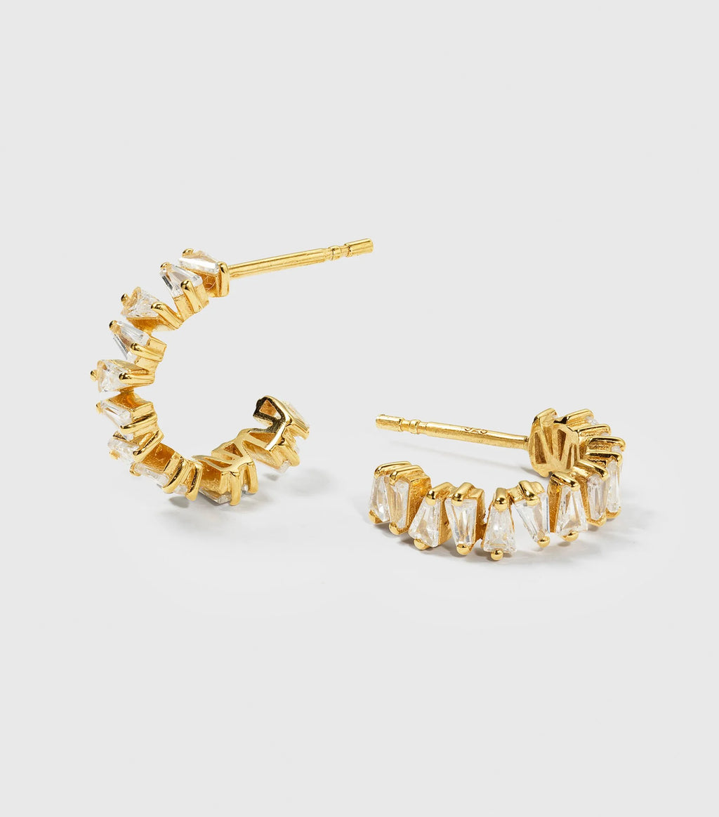 Iggy Earrings