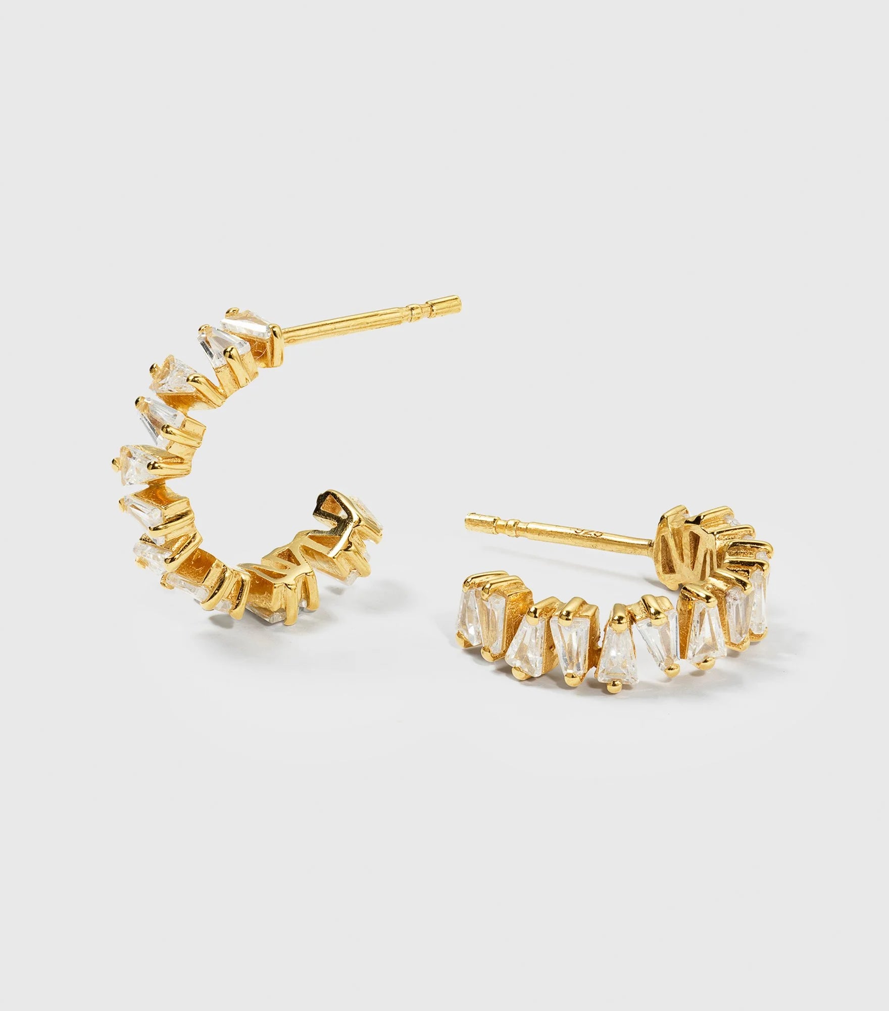 Iggy Earrings